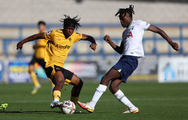 国家队教练 国家队教练