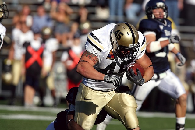 发表种族言 发表种族言